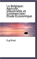 La Belgique: Agricole, Industrielle Et Commerciale: Etude Economique