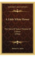 A Little White Flower