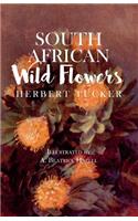 South African Wild Flowers - Illustrated by A. Beatrice Hazell