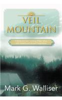 Veil Mountain: A Father and Son 'Coming of Age' Story, with Mystery, Secrets and Forgiveness
