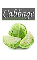 Cabbage - The Ultimate Recipe Guide