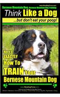 Bernese Mountain Dog, Bernese Mountain Dog Training AAA Akc - Think Like a Dog But Don't Eat Your Poop!