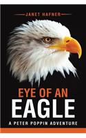 Eye of an Eagle