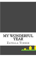 My Wonderful Year