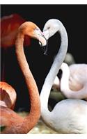 Two Cool Flamingos Strike a Pose Journal: 150 Page Lined Notebook/Diary