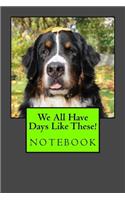 We All Have Days Like These!: 150 page lined notebook