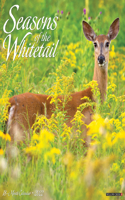 Seasons of the Whitetail 2022 Wall Calendar (Deer)