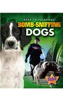 Bomb-Sniffing Dogs