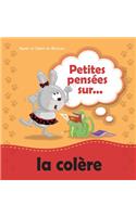 Petites pensées sur la colère