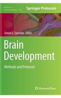 Brain Development