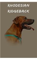 Rhodesian Ridgeback