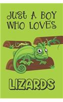 Just A Boy Who Loves Lizards