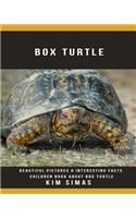 Box Turtle: Beautiful Pictures & Interesting Facts Children Book about Box Turtle