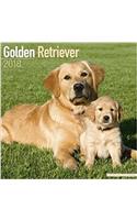 Golden Retriever Calendar 2018