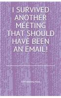 I Survived Another Meeting That Should Have Been an Email!