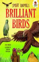 Smart Animals - Brilliant Birds