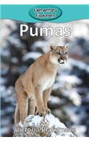 Pumas