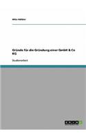 Gründe für die Gründung einer GmbH & Co KG