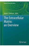 Extracellular Matrix: An Overview