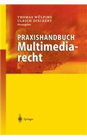 Praxishandbuch Multimediarecht