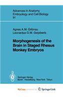 Morphogenesis of the Brain in Staged Rhesus Monkey Embryos