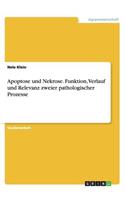 Apoptose und Nekrose. Funktion, Verlauf und Relevanz zweier pathologischer Prozesse