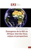 Émergence de la Rse En Afrique