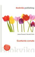 Guettarda Comata: (English)