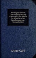 Pfandungspfandrecht Und Gruppenpfandung: Studien Aus Dem Gebiete Des Schweizerischen Betreibungsrechte . (German Edition)