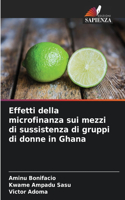 Effetti della microfinanza sui mezzi di sussistenza di gruppi di donne in Ghana