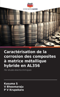 Caractérisation de la corrosion des composites à matrice métallique hybride en AL356