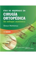 Vias de abordaje en cirugia ortopedica