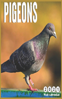 Wall Calendar 2021 Pigeons