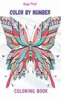Large Print Color By Number Coloring Book