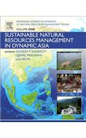 Redefining Diversity and Dynamics of Natural Resources Management in Asia, Volume 1: Sustainable Natural Resources Management in Dynamic Asia