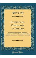 Evidence on Conditions in Ireland: Comprising the Complete Testimony, Affidavits and Exhibits Presented Before the American Commission on Conditions in Ireland (Classic Reprint)