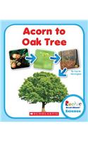 Acorn to Oak Tree: (Rookie Read-About Science (Library))