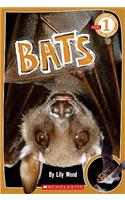 Scholastic Reader Level 1: Bats