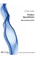 Microsoft Excel 2013: Produce Spreadsheets