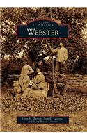 Webster
