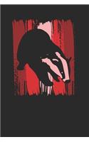 Badger Wild Animal