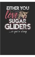 Either You Love Sugar Gliders Or You're Wrong