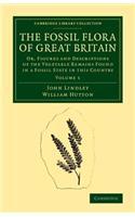 Fossil Flora of Great Britain