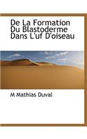 de La Formation Du Blastoderme Dans L'Uf D'Oiseau