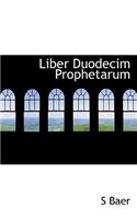 Liber Duodecim Prophetarum