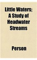 Little Waters; A Study of Headwater Streams