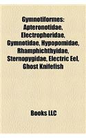 Gymnotiformes: Apteronotidae, Electrophoridae, Gymnotidae, Hypopomidae, Rhamphichthyidae, Sternopygidae, Electric Eel, Ghost Knifefis