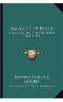 Among The Birds