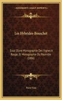 Les Hybrides-Bouschet