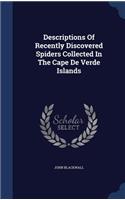 Descriptions Of Recently Discovered Spiders Collected In The Cape De Verde Islands